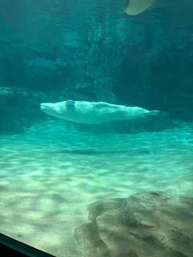 名古屋港水族館に投稿された画像（2026/9/18）