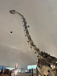 福井県立恐竜博物館に投稿された画像（2026/9/18）