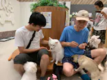 いぬカフェRio イオンモール福岡店に投稿された画像（2026/9/18）