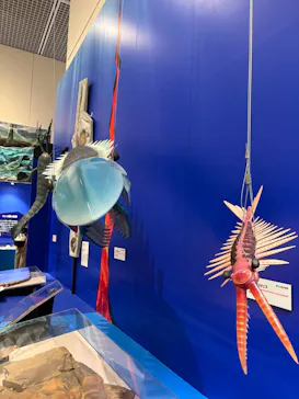 特別展　大絶滅展に投稿された画像（2026/9/18）