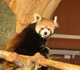 ネオパークオキナワに投稿された画像（2026/9/18）