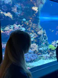 サンシャイン水族館に投稿された画像（2026/9/18）