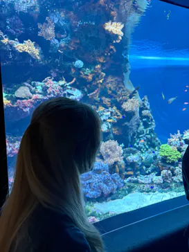 サンシャイン水族館に投稿された画像（2026/9/18）