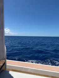 セルリアンブルーに投稿された画像（2026/9/18）