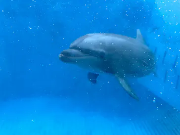 新江ノ島水族館に投稿された画像（2026/9/18）