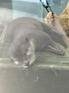 新江ノ島水族館に投稿された画像（2026/9/18）