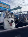 伊豆ぐらんぱる公園に投稿された画像（2026/9/19）