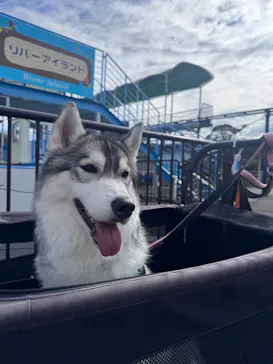 伊豆ぐらんぱる公園に投稿された画像（2026/9/18）