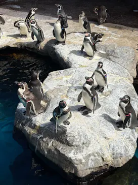 アクアワールド茨城県大洗水族館に投稿された画像（2026/9/18）
