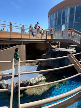 アクアワールド茨城県大洗水族館に投稿された画像（2026/9/18）