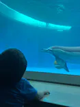 大分マリーンパレス水族館 「うみたまご」に投稿された画像（2026/9/19）