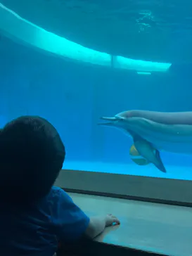 大分マリーンパレス水族館 「うみたまご」に投稿された画像（2026/9/18）