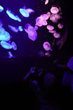 マリンワールド海の中道に投稿された画像（2026/9/19）