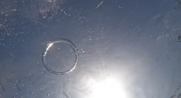 武藤潜水に投稿された画像（2026/9/19）