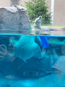 天王寺動物園に投稿された画像（2026/9/19）