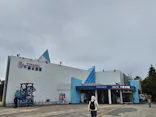 サケのふるさと 千歳水族館に投稿された画像（2026/9/19）
