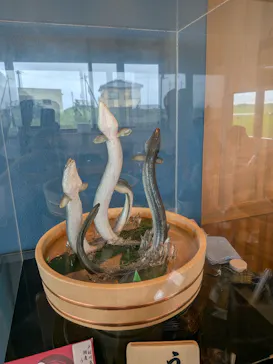 戸村川魚店　香取本店に投稿された画像（2026/9/19）