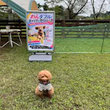 わんダフルネイチャーヴィレッジに投稿された画像（2026/9/19）