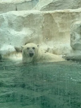 恩賜上野動物園に投稿された画像（2026/9/19）