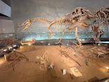 福井県立恐竜博物館に投稿された画像（2026/9/19）