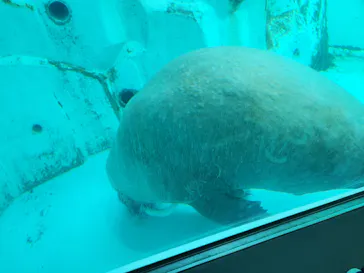 南知多ビーチランド＆南知多おもちゃ王国に投稿された画像（2026/9/19）