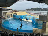 新江ノ島水族館に投稿された画像（2026/9/19）