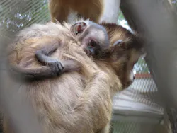 ANIMAL WONDER REZOURT 市原ぞうの国・サユリワールドに投稿された画像（2026/9/19）