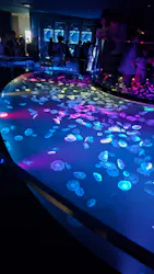 すみだ水族館に投稿された画像（2026/9/19）