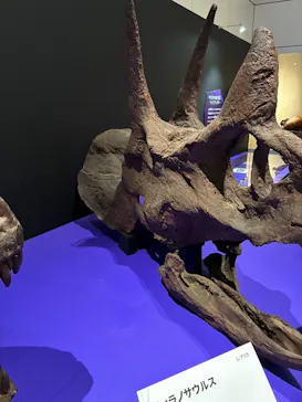 特別展　大絶滅展に投稿された画像（2026/9/19）