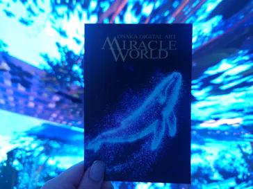 MIRACLE WORLD OSAKAに投稿された画像（2026/9/19）
