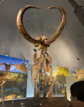 福井県立恐竜博物館に投稿された画像（2026/9/19）