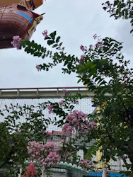 浅草花やしきに投稿された画像（2026/9/19）