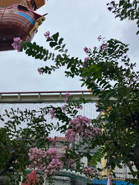 浅草花やしきに投稿された画像（2026/9/19）