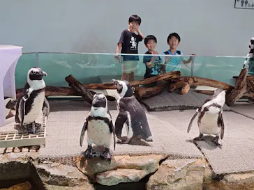 NIFREL（ニフレル）に投稿された画像（2026/9/19）