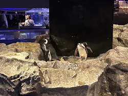 すみだ水族館に投稿された画像（2026/9/19）