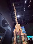 福井県立恐竜博物館に投稿された画像（2026/9/19）