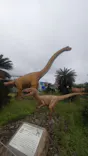 伊豆ぐらんぱる公園に投稿された画像（2026/9/19）