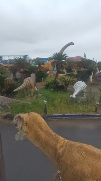 伊豆ぐらんぱる公園に投稿された画像（2026/9/19）
