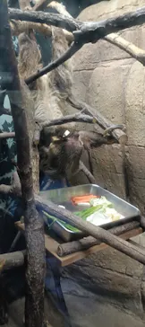 名古屋市東山動植物園に投稿された画像（2026/9/19）