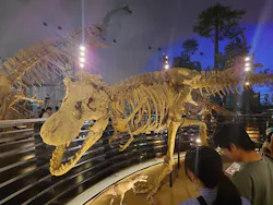 福井県立恐竜博物館に投稿された画像（2026/9/19）