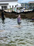 志摩市浜島磯体験施設 海ほおずきに投稿された画像（2026/9/19）
