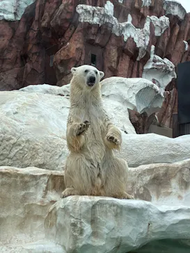 恩賜上野動物園に投稿された画像（2026/9/19）