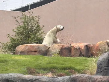 天王寺動物園に投稿された画像（2026/9/19）