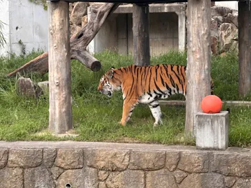 天王寺動物園に投稿された画像（2026/9/19）