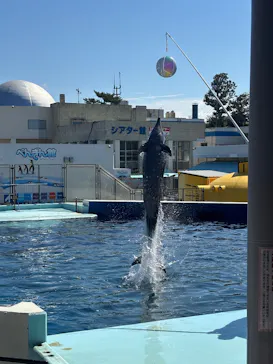 越前松島水族館に投稿された画像（2026/9/19）