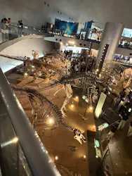 福井県立恐竜博物館に投稿された画像（2026/9/19）