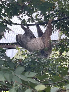 こども動物自然公園（埼玉県公園緑地協会）に投稿された画像（2026/9/19）