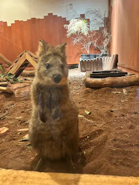 こども動物自然公園（埼玉県公園緑地協会）に投稿された画像（2026/9/19）