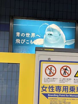 名古屋港水族館に投稿された画像（2026/9/19）