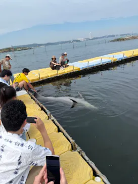 日間賀島ドルフィンビーチに投稿された画像（2026/9/19）